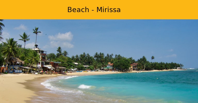 Mirissa Beach