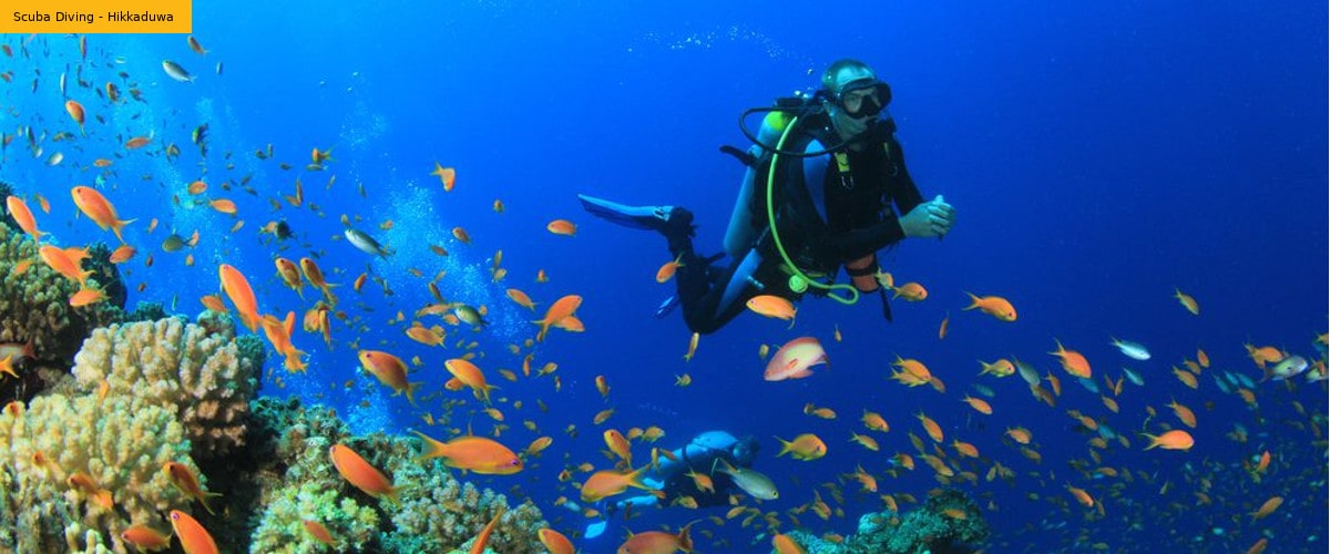 Scuba Diving Hikkaduwa